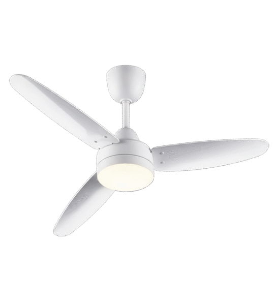 FAN 2